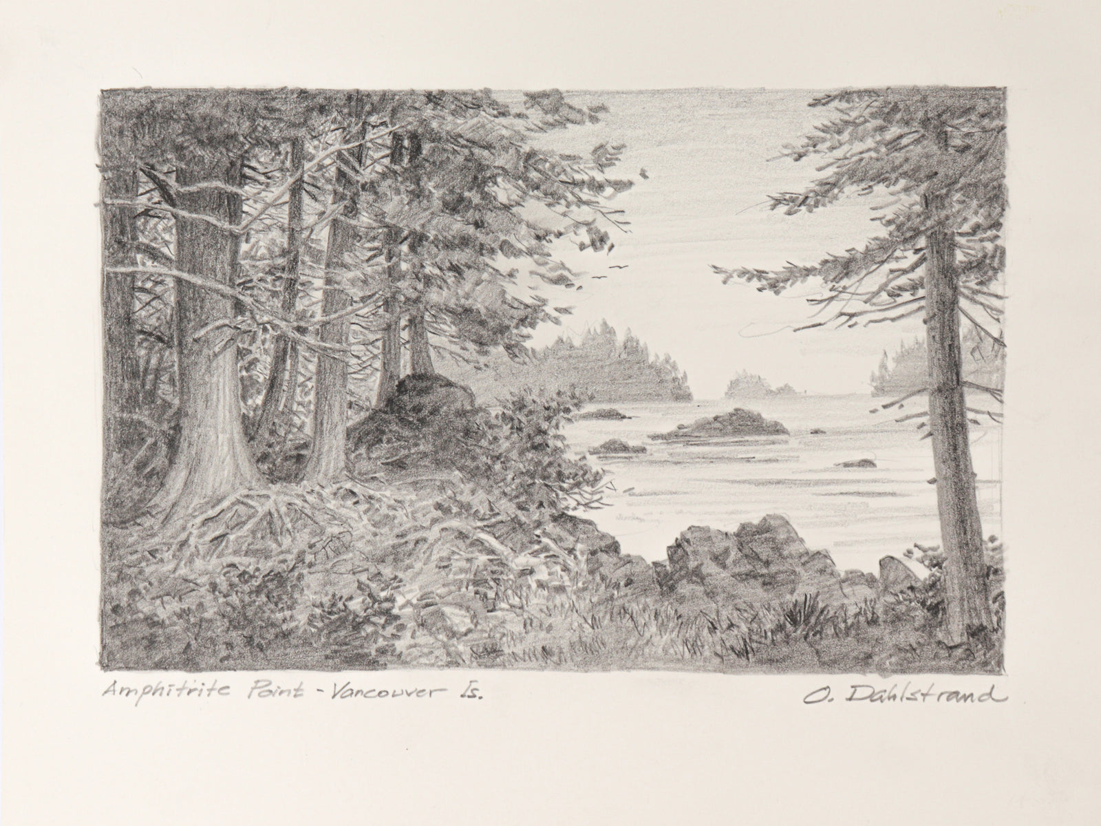 <I>Amphitrite Point - Vancouver Is</I> <br>2001 Graphite<br><br>#C2746