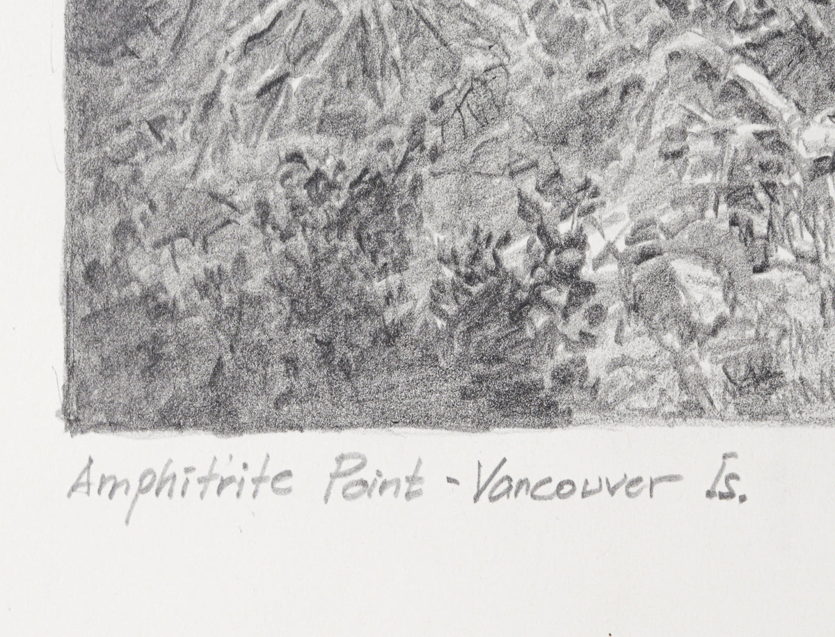 <I>Amphitrite Point - Vancouver Is</I> <br>2001 Graphite<br><br>#C2746
