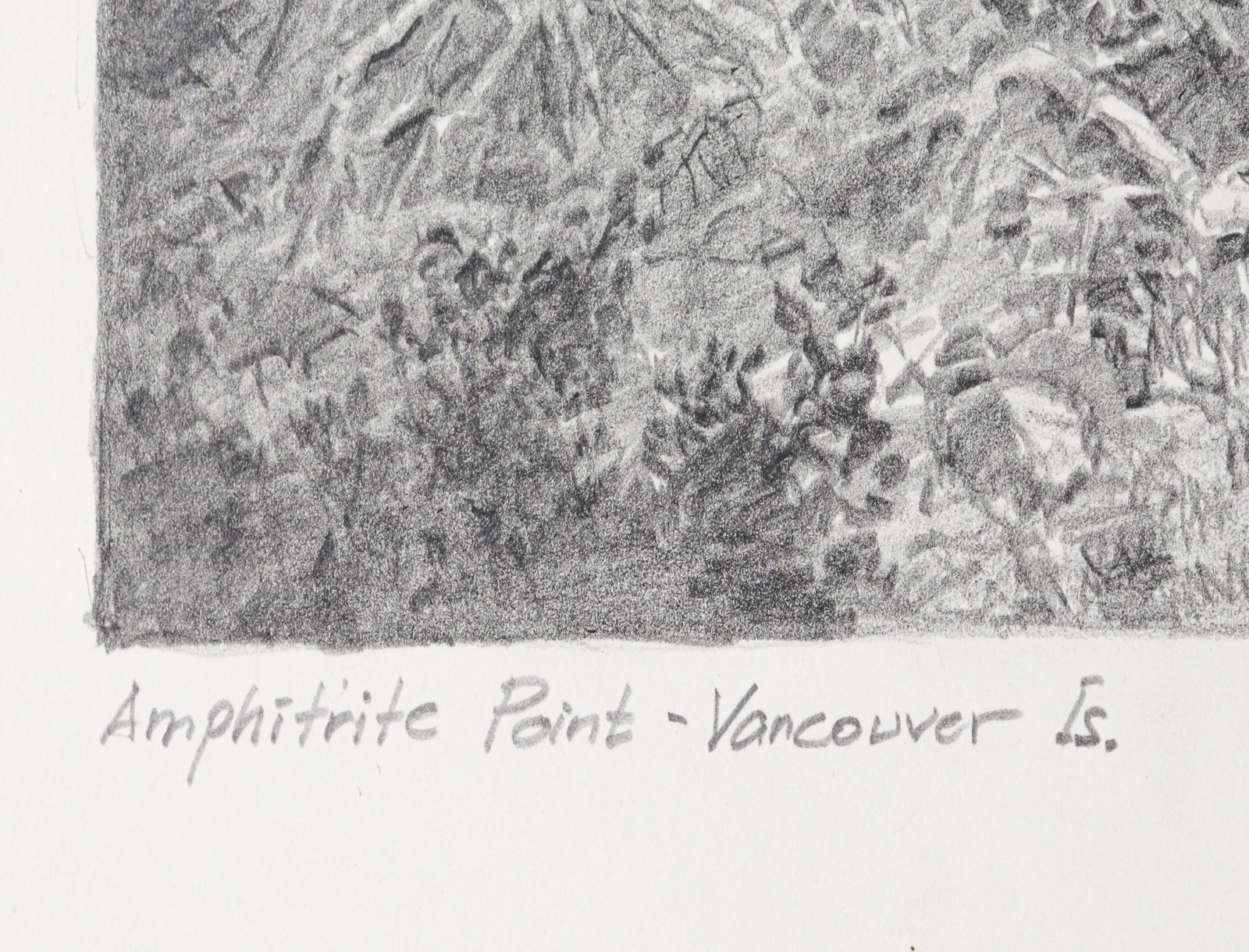 <I>Amphitrite Point - Vancouver Is</I> <br>2001 Graphite<br><br>#C2746