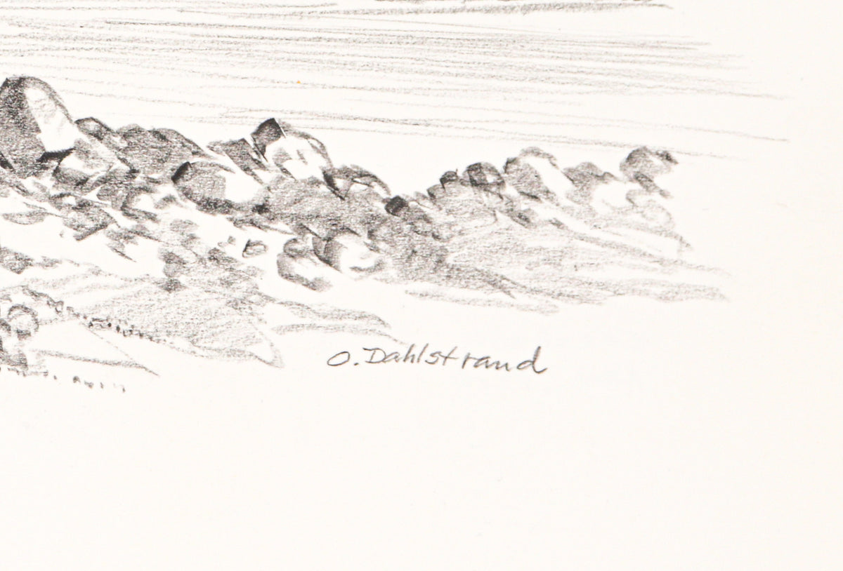 <I>Coachella Valley</I> <br>1970 Graphite<br><br>#C2754