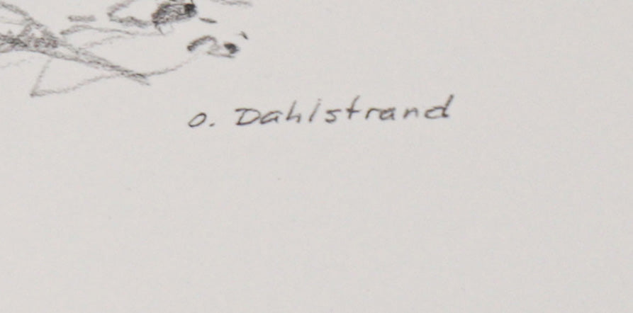 Tree Overlooking the Coast Study<br>20th Century Graphite<br><br>#C2765