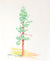 Redwood Still Life<br>1953 Colored Pencil<br><br>#C2766