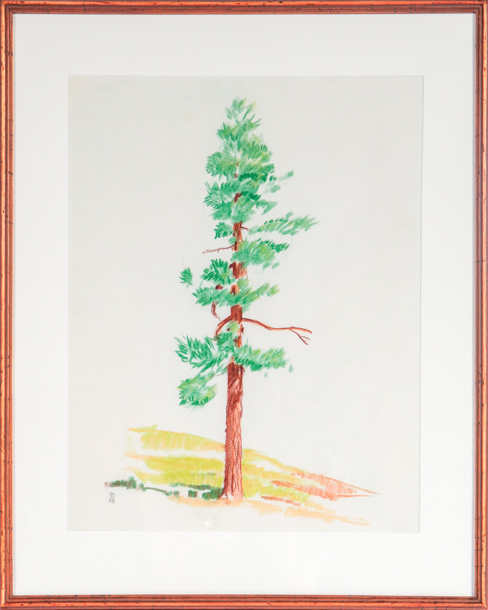 Redwood Still Life<br>1953 Colored Pencil<br><br>#C2766