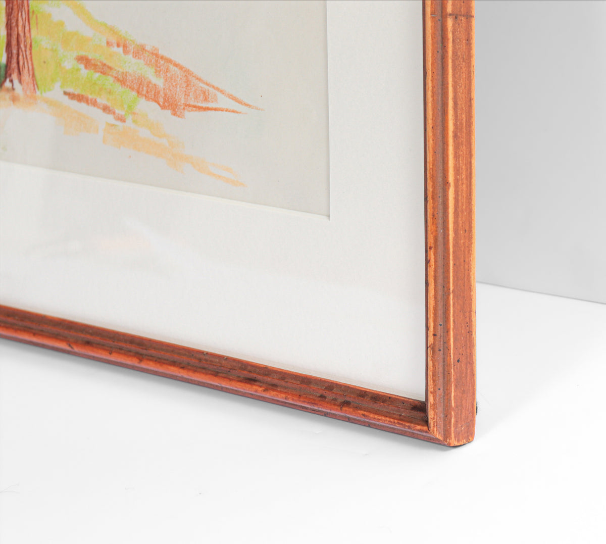 Redwood Still Life<br>1953 Colored Pencil<br><br>#C2766