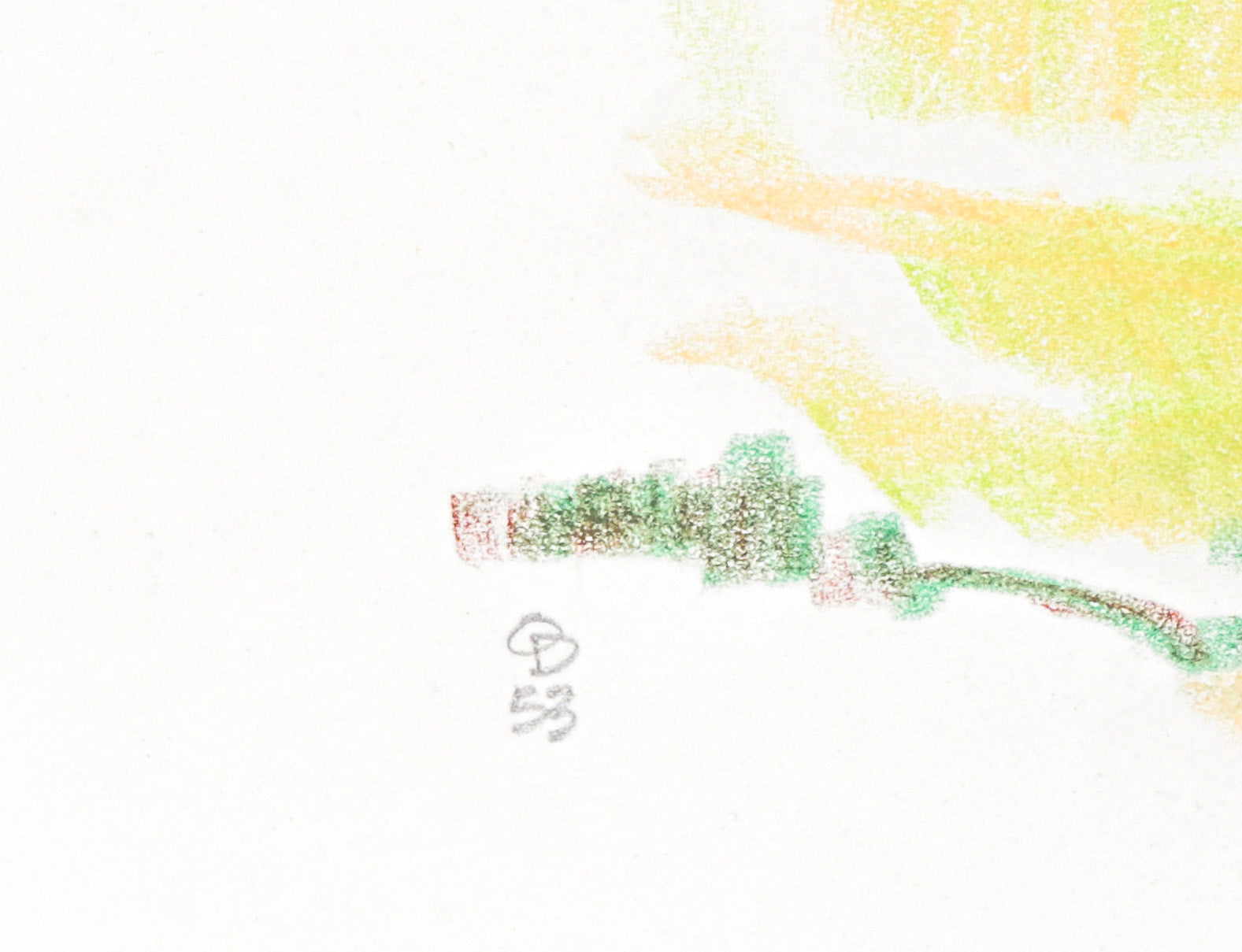 Redwood Still Life<br>1953 Colored Pencil<br><br>#C2766