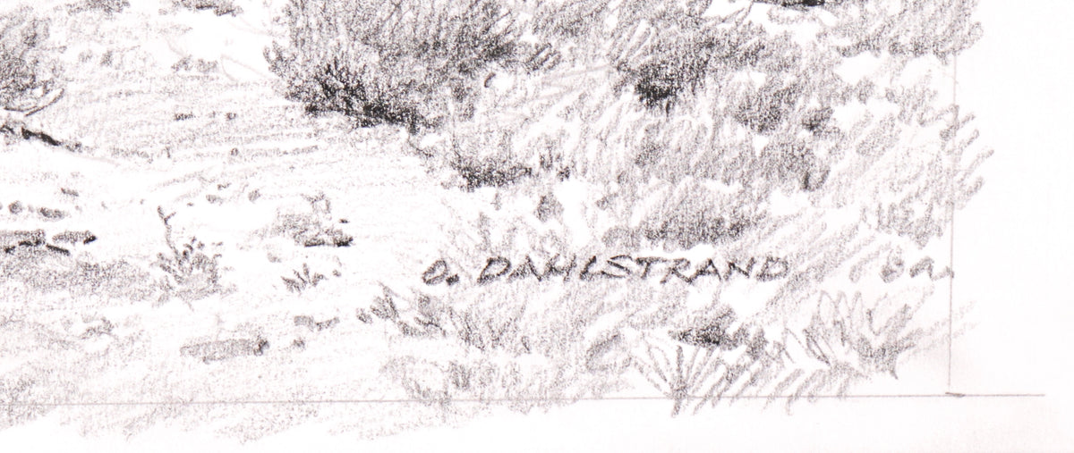 <I>Tucki Mountain, Death Valley</I> <br>20th Century Graphite<br><br>#C2768