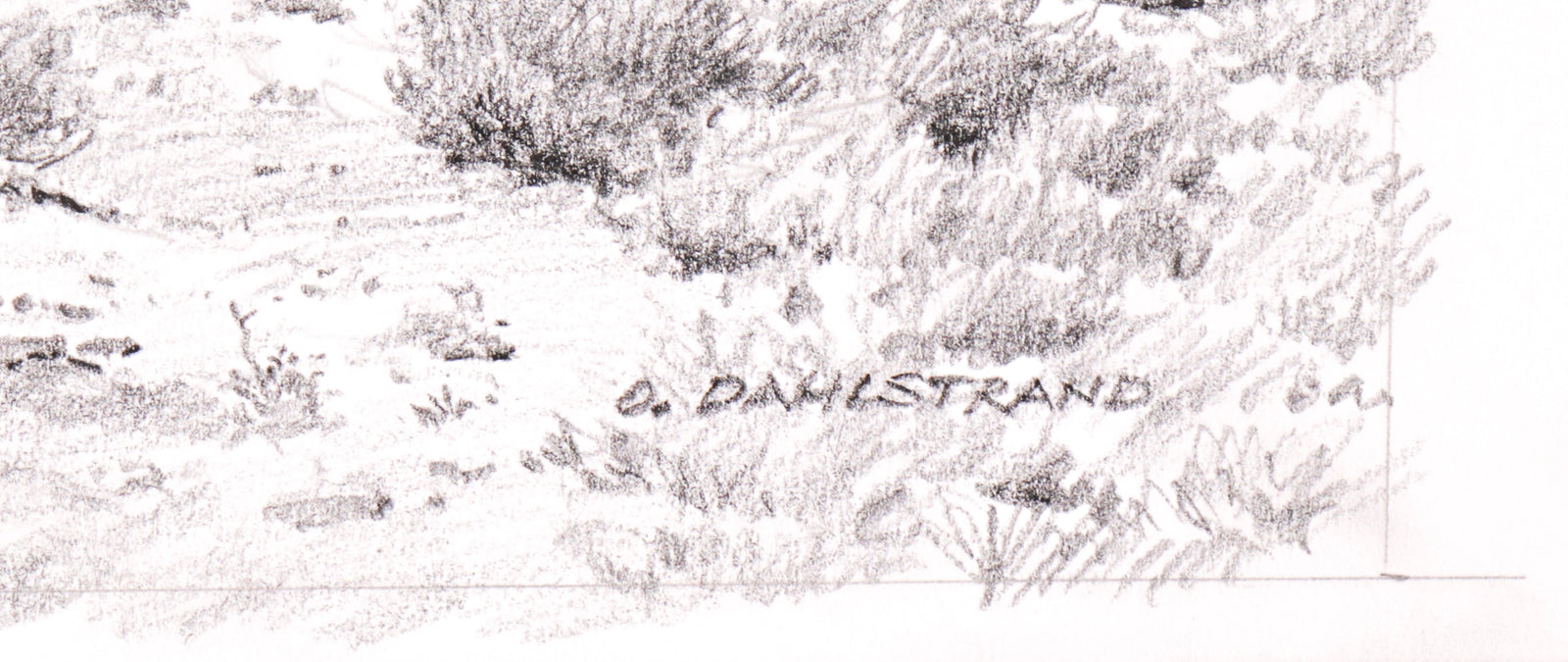 <I>Tucki Mountain, Death Valley</I> <br>20th Century Graphite<br><br>#C2768