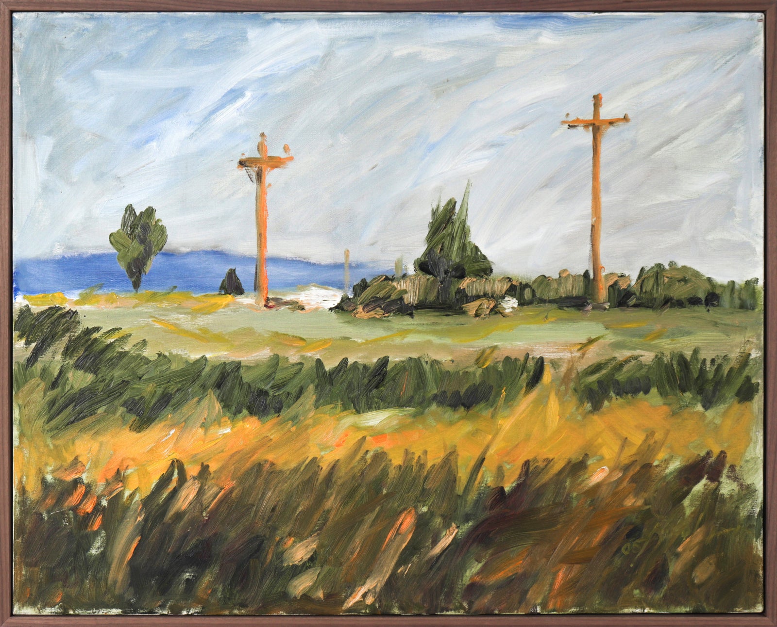 California Meadows <br>2005 Oil <br><br>#C3014