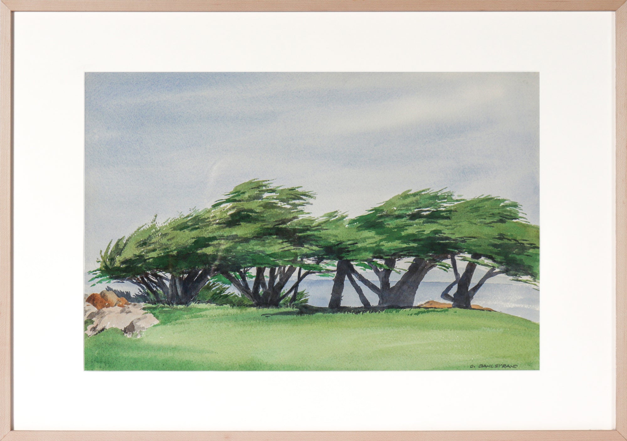 Windswept Cypress Trees<br>20th Century Watercolor<br><br>#C3037
