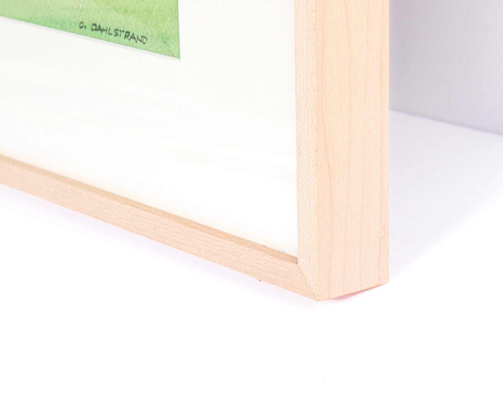 Windswept Cypress Trees<br>20th Century Watercolor<br><br>#C3037