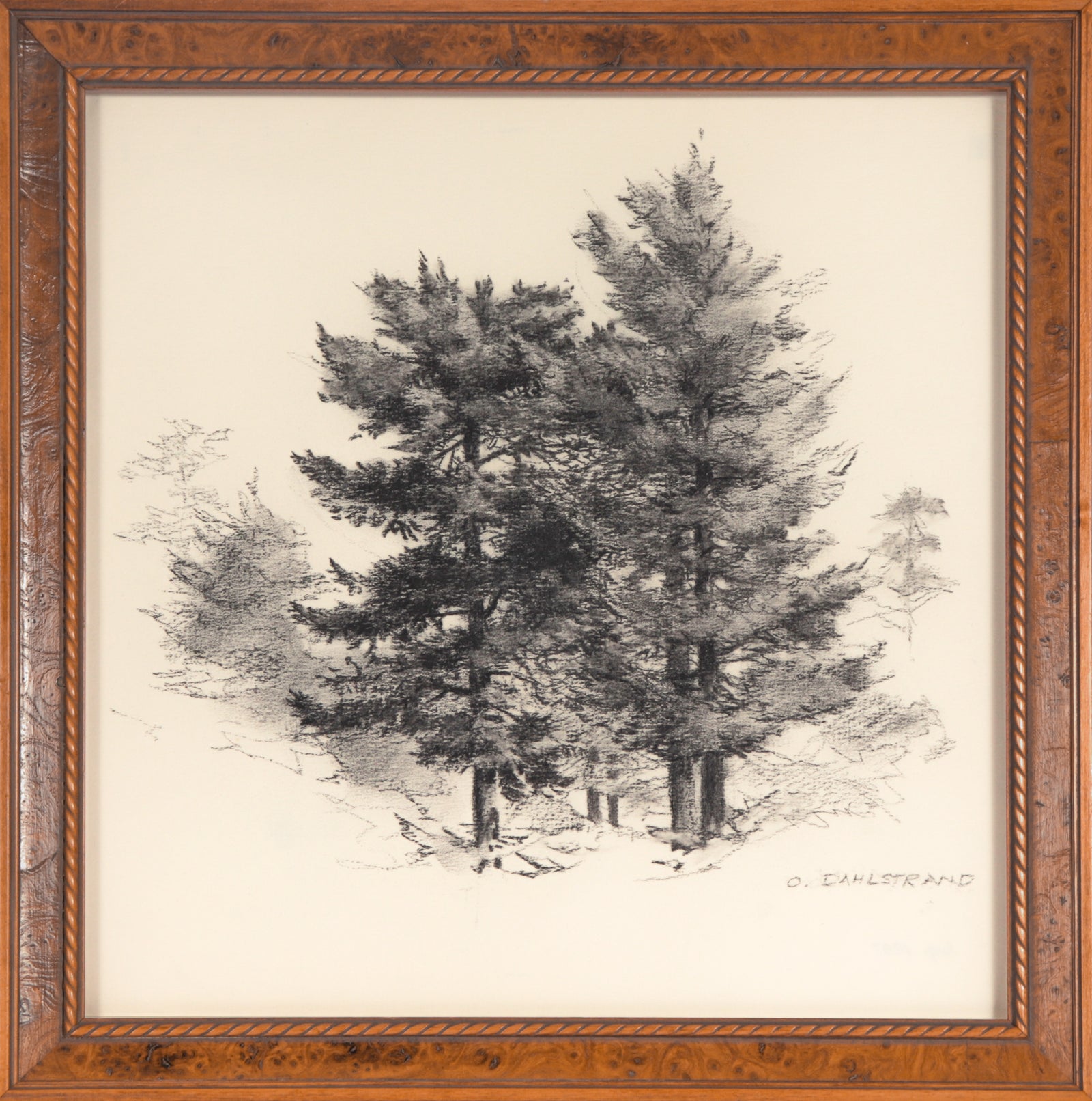 Pine Tree Sketch<br>1987 Charcoal <br><br>#C3098