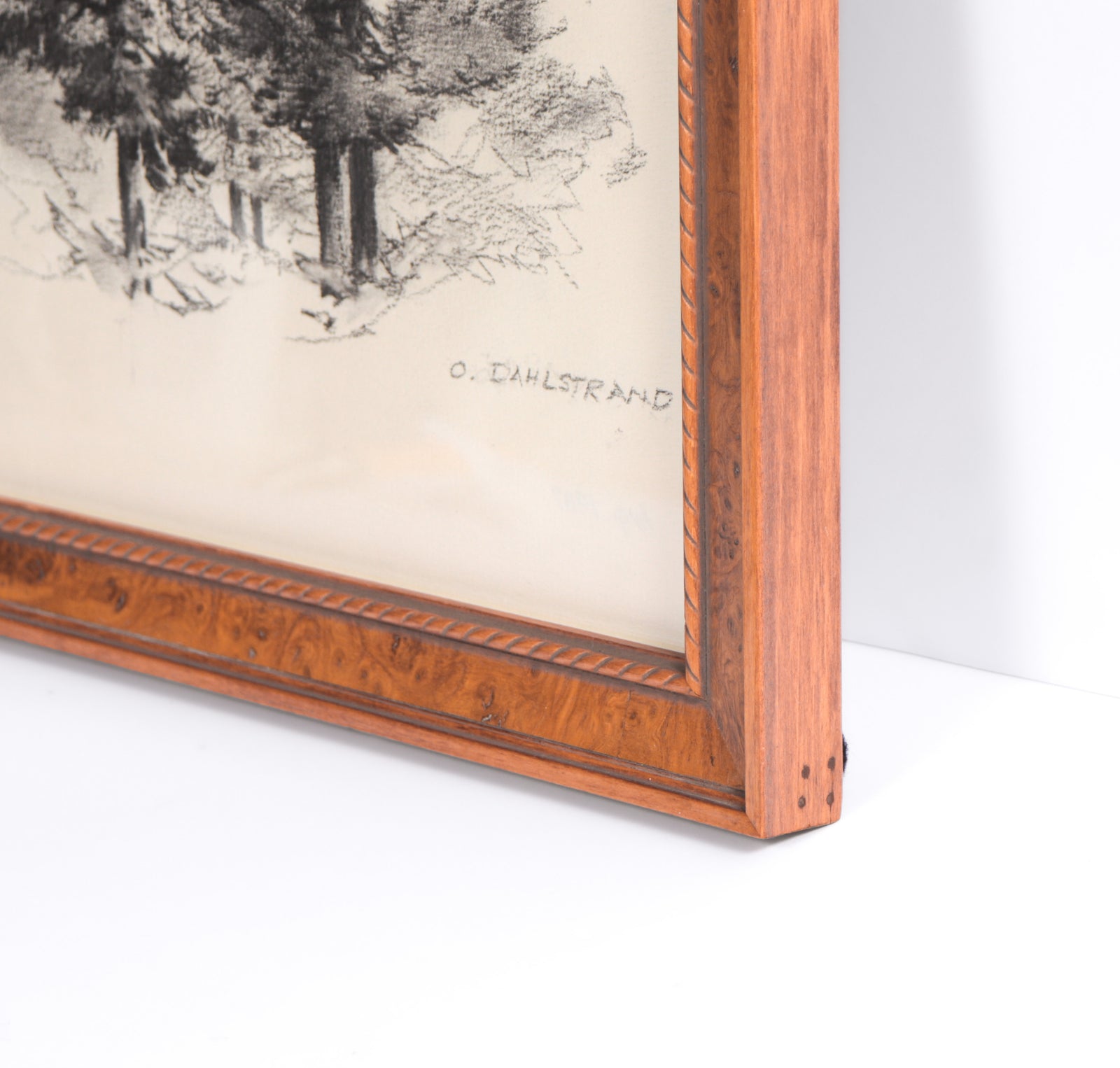 Pine Tree Sketch<br>1987 Charcoal <br><br>#C3098