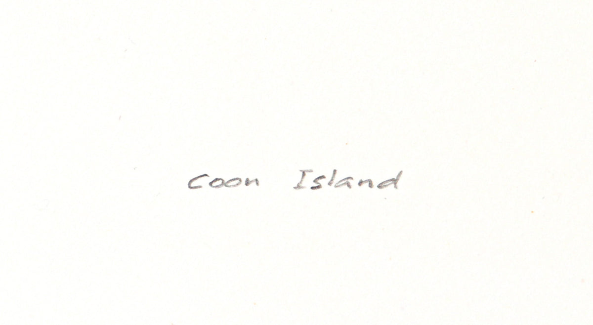 <i>Coon Island</i><br>1984 Graphite<br><br>#C3172