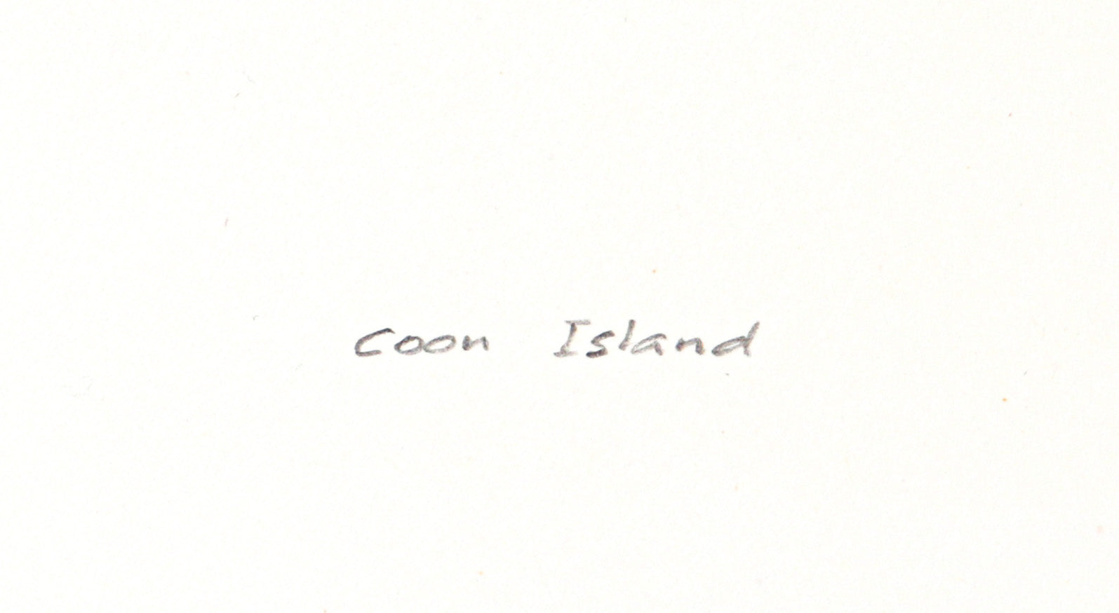 <i>Coon Island</i><br>1984 Graphite<br><br>#C3172