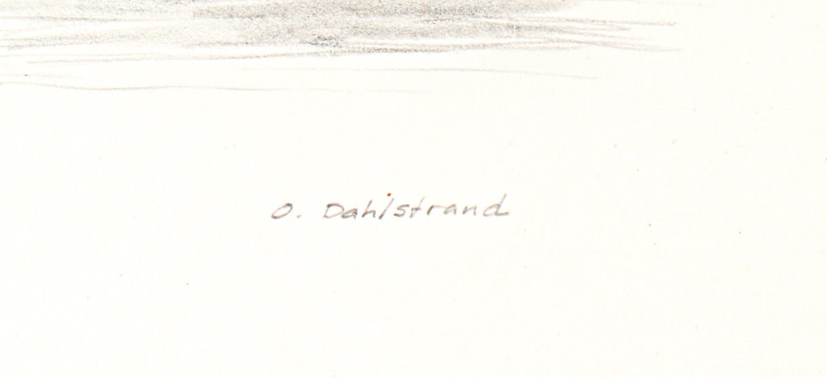 <i>Orcas Island</i> <br>1984 Graphite <br><br>#C3179