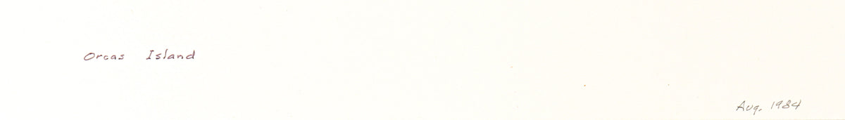 <i>Orcas Island</i> <br>1984 Graphite <br><br>#C3179