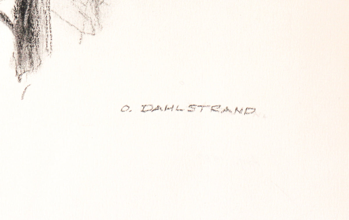 Aspen Tree Sketch <br>1987 Graphite<br><br> #C3183