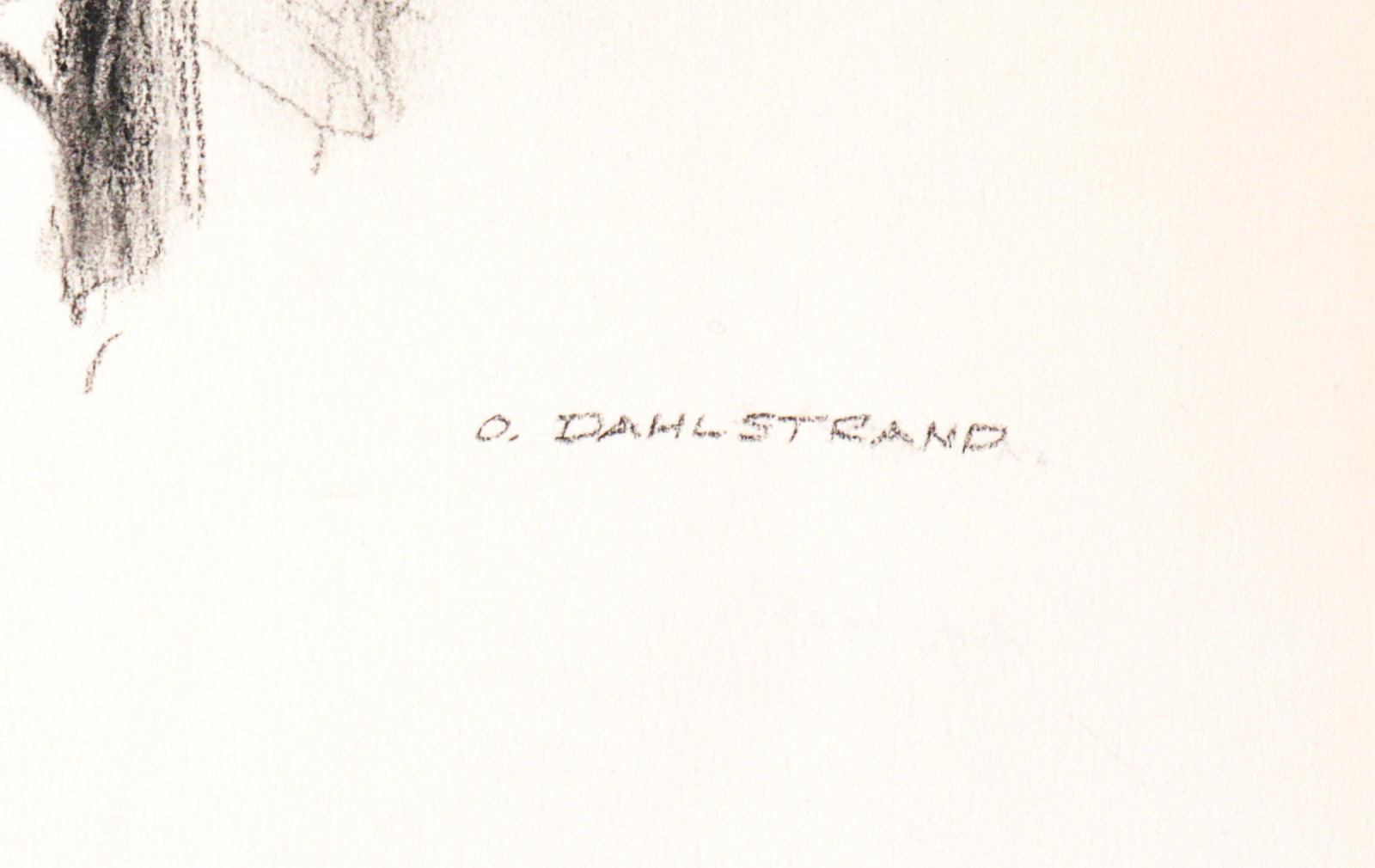 Aspen Tree Sketch <br>1987 Graphite<br><br> #C3183