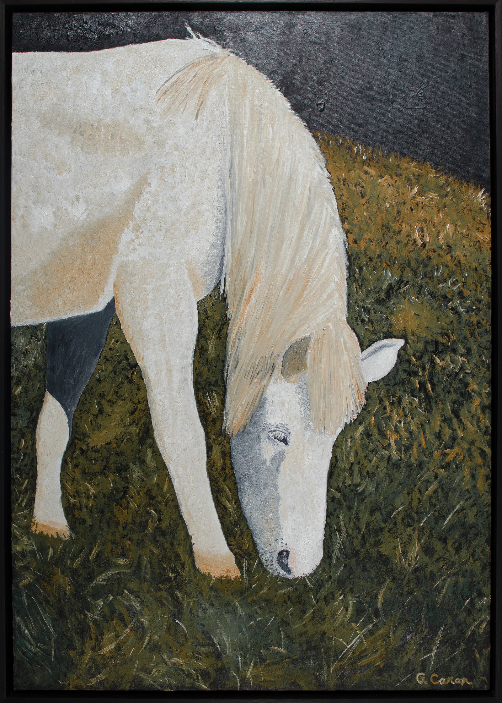 <i>Wild Mare</i> <br>2023 Oil <br><br>#C3216