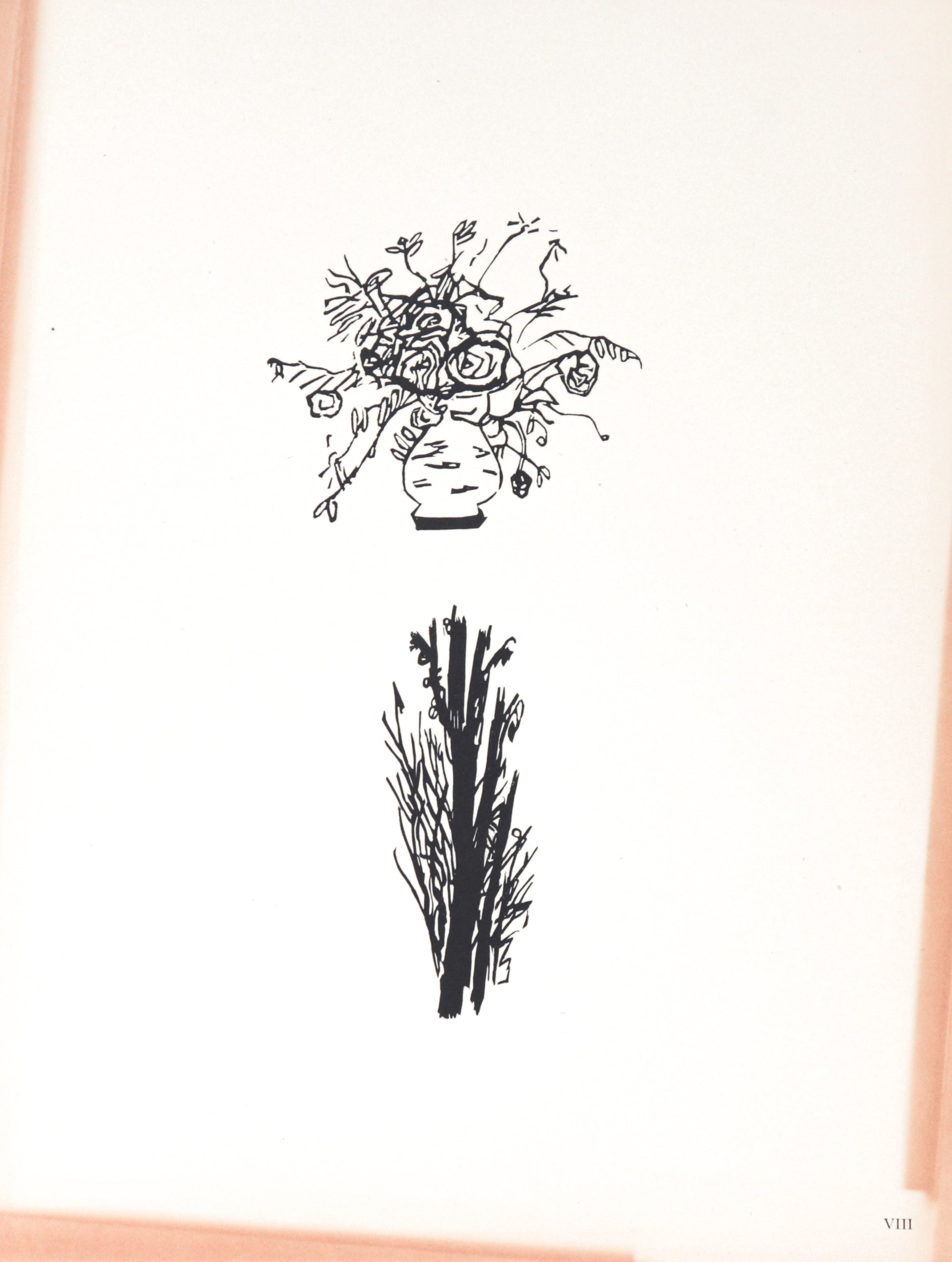 Two Botanical Illustrations<br>20th Century Etching<br><br>#C3491