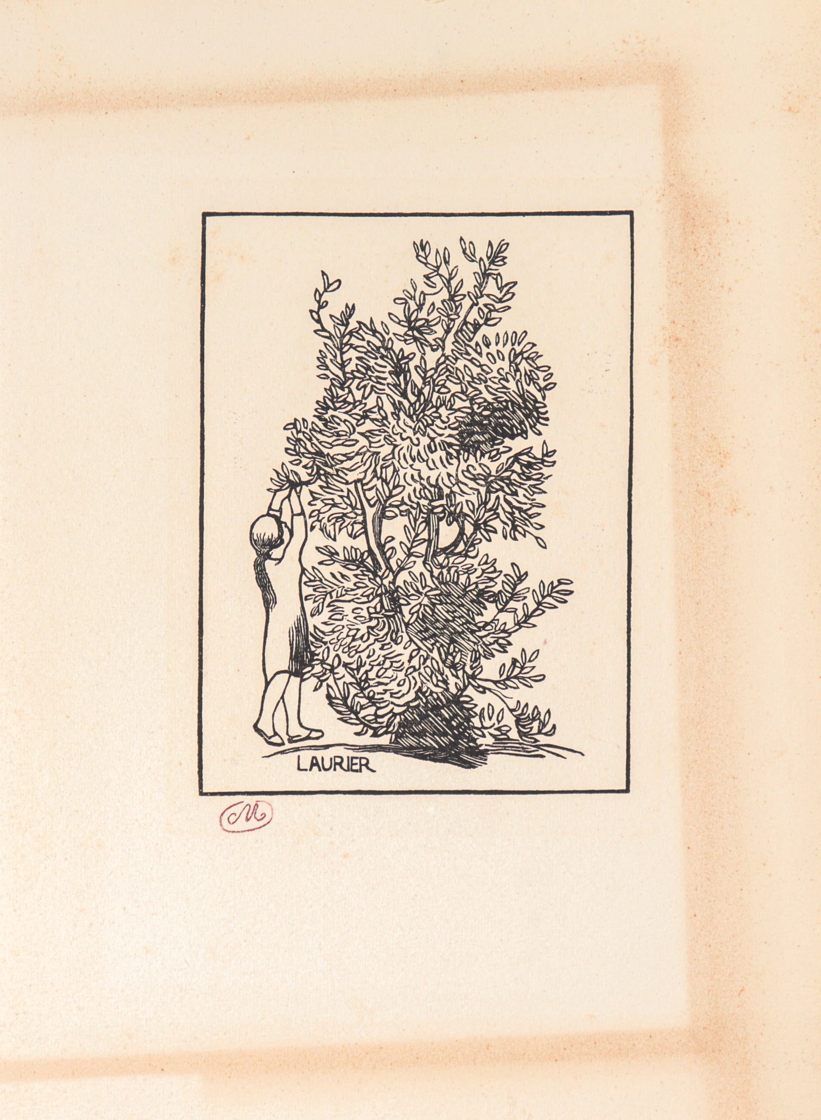 <i>Laurier</i><br>1937-1943 Woodcut<br><br>#C3504