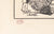 <i>Laurier</i><br>1937-1943 Woodcut<br><br>#C3504