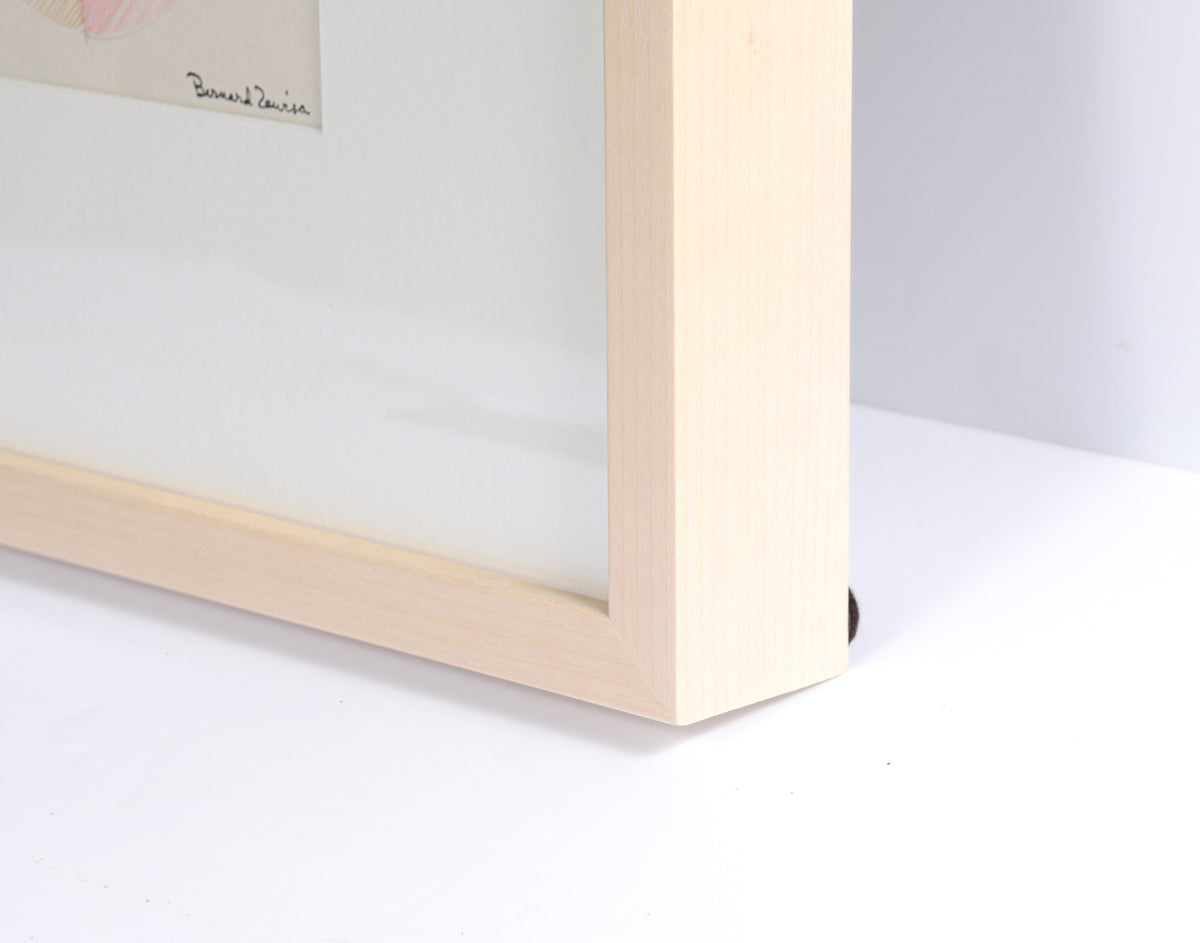 Disc & Grid Pattern Series <br>1973 Colored Pencil <br><br>#C3562