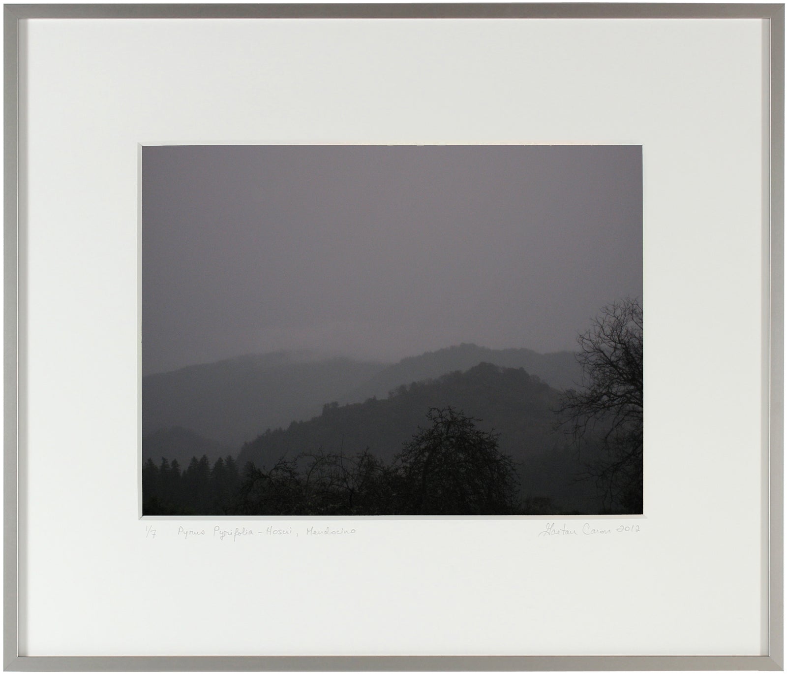 <I>Winter Dusk</I><br>Mendocino, California, 2011<br><br>GC0003