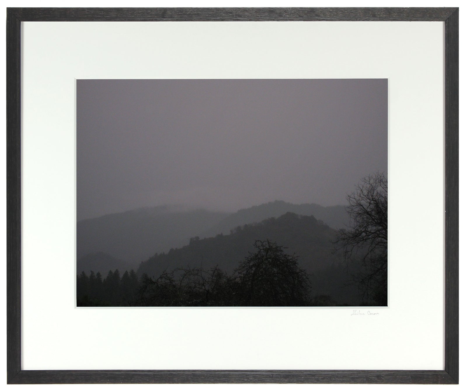 <I>Winter Dusk</I><br>Mendocino, California, 2011<br><br>GC0003