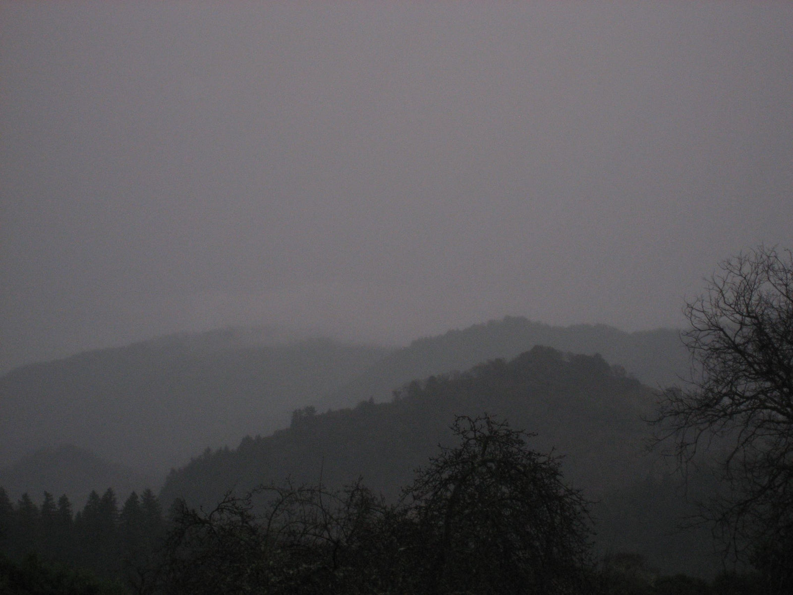 <I>Winter Dusk</I><br>Mendocino, California, 2011<br><br>GC0003