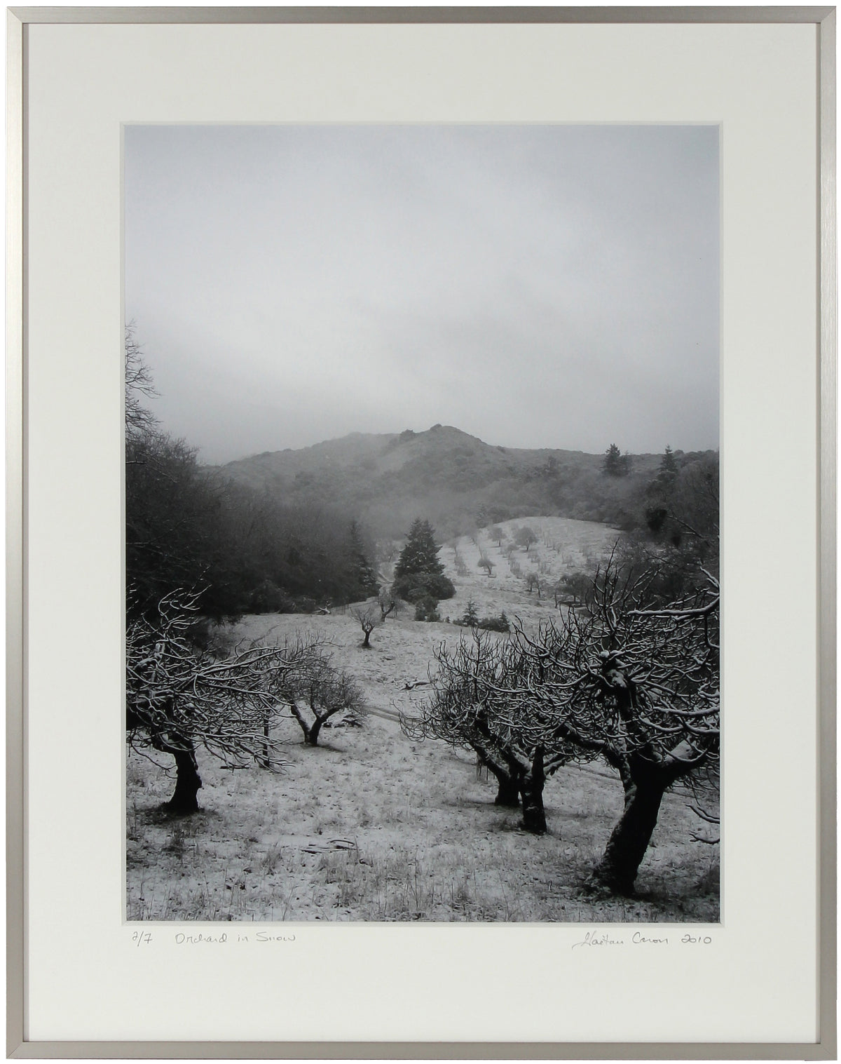 <I>Orchard in Snow</I><br>Mendocino, California, 2010<br><br>GC0016