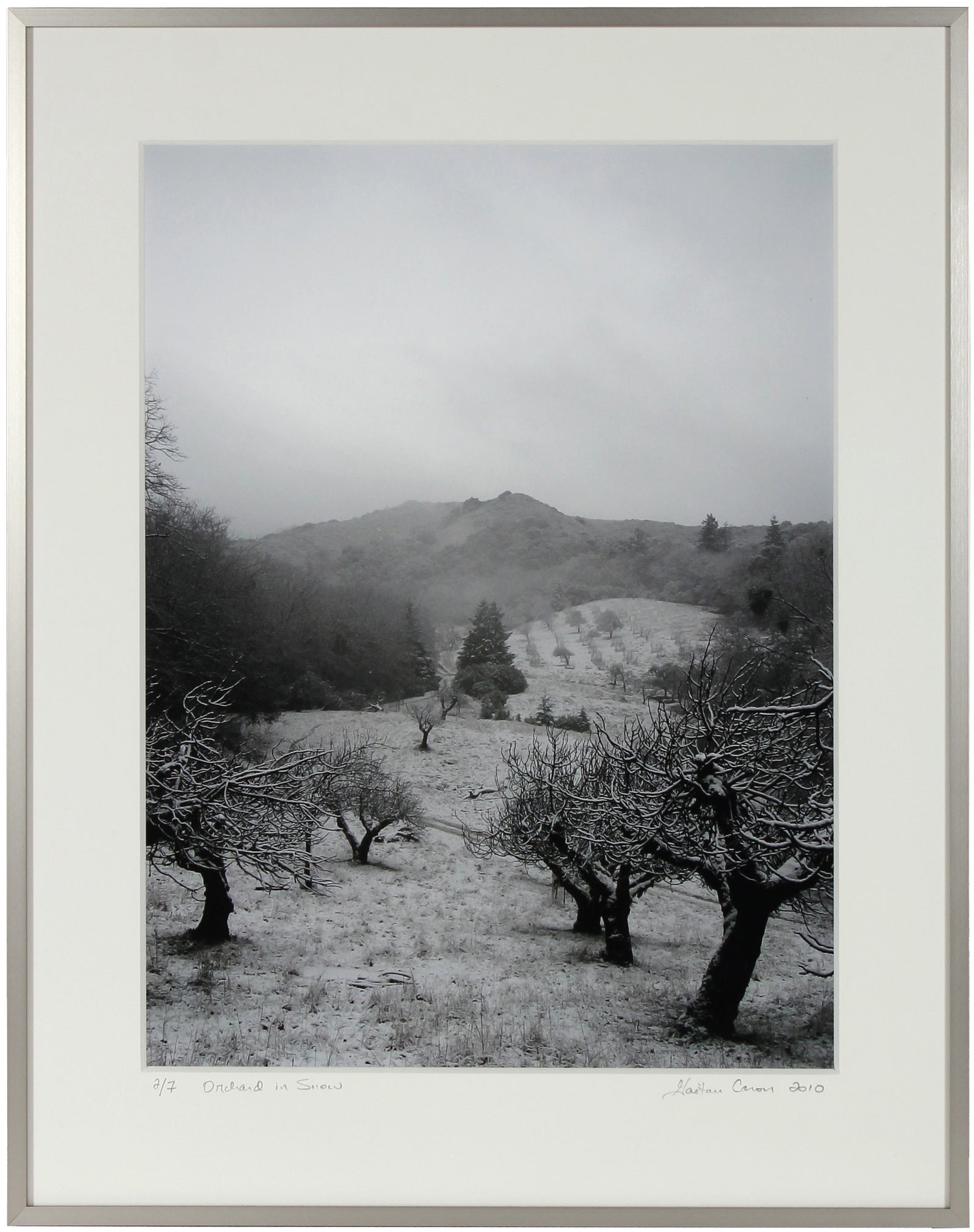 <I>Orchard in Snow</I><br>Mendocino, California, 2010<br><br>GC0016