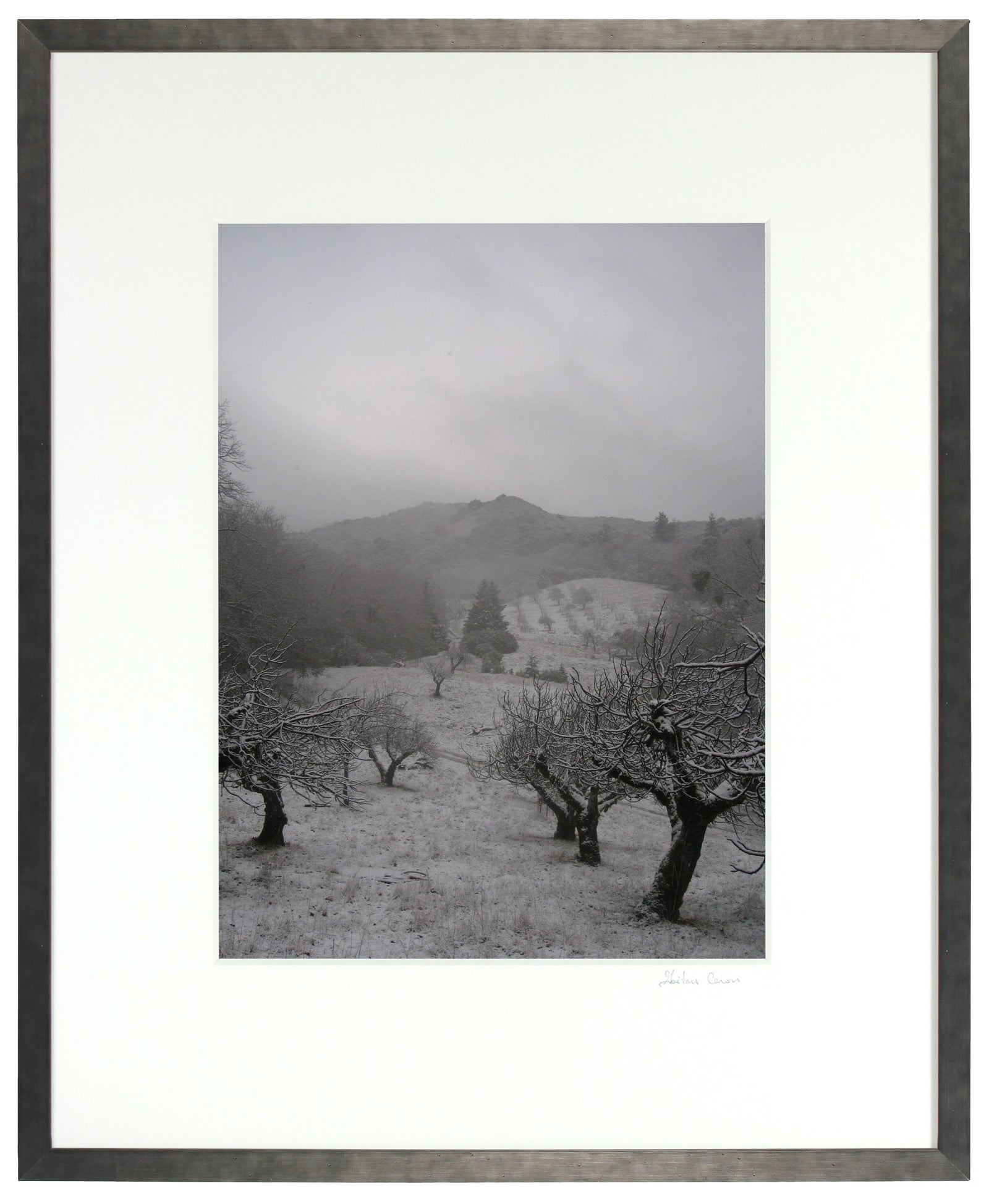 <I>Orchard in Snow</I><br>Mendocino, California, 2010<br><br>GC0016