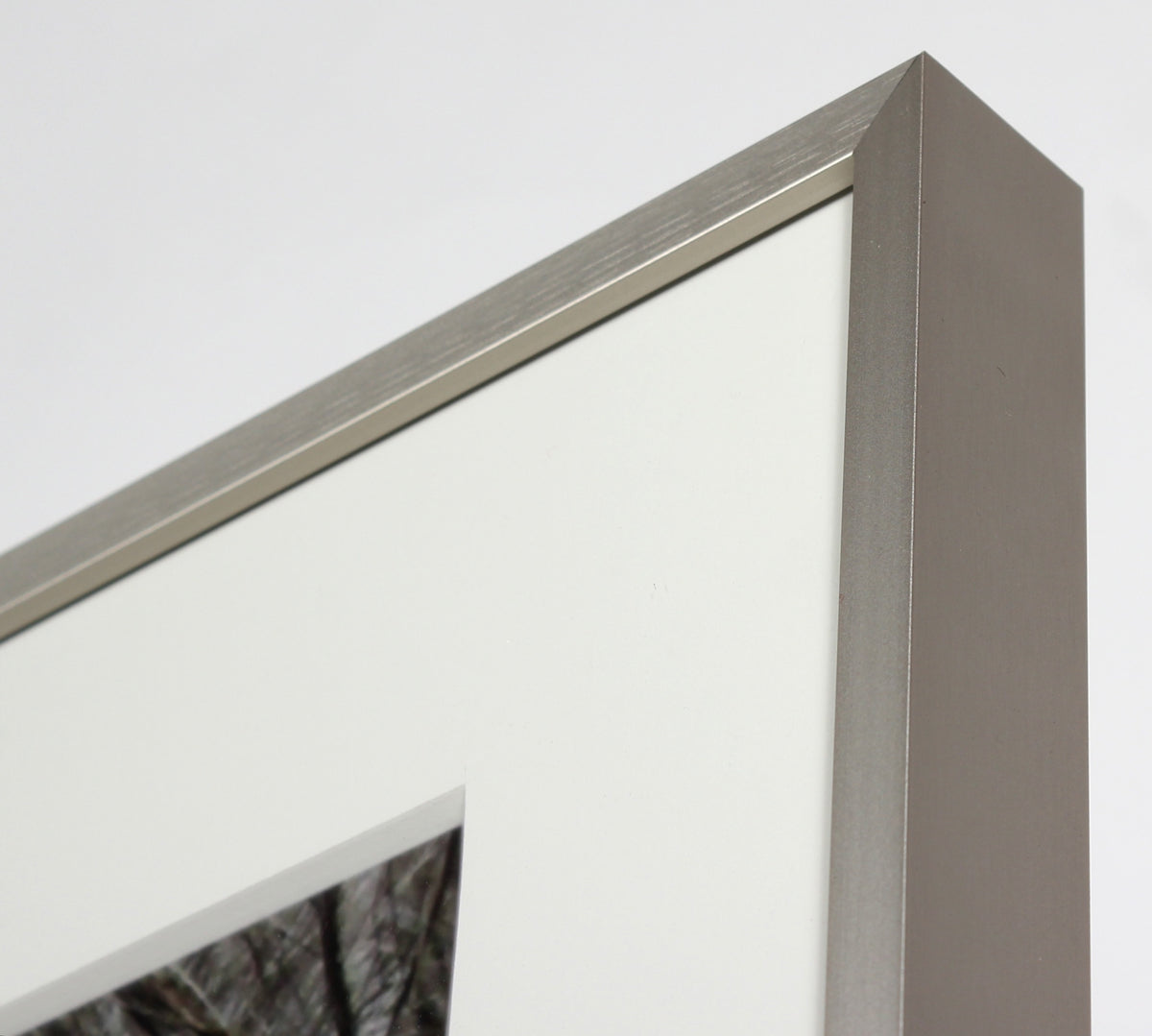 <I>Wild Pony Mane</I> <br>2010 <br><br>#GC0249_2O