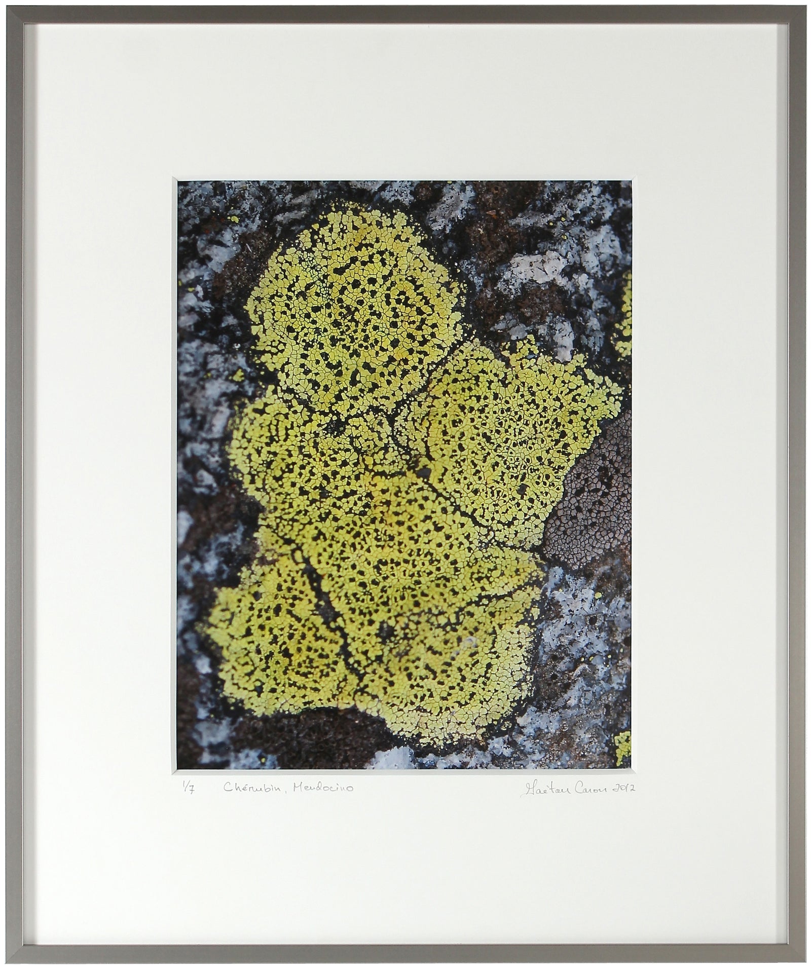 <I>Chérubin</I><br>Mendocino, California, 2012<br><br>GC0285