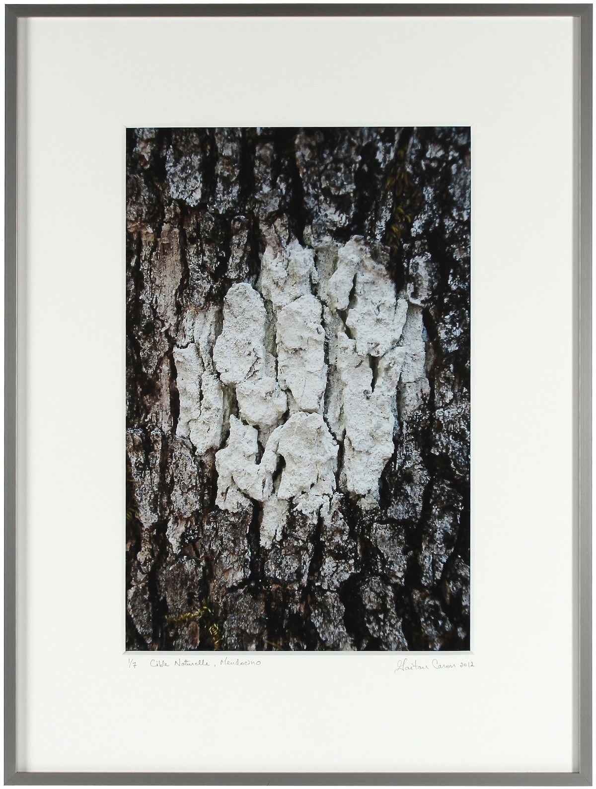 <I>Cible Naturelle (Organic Objective)</I><br>Mendocino, California, 2012<br><br>GC0287