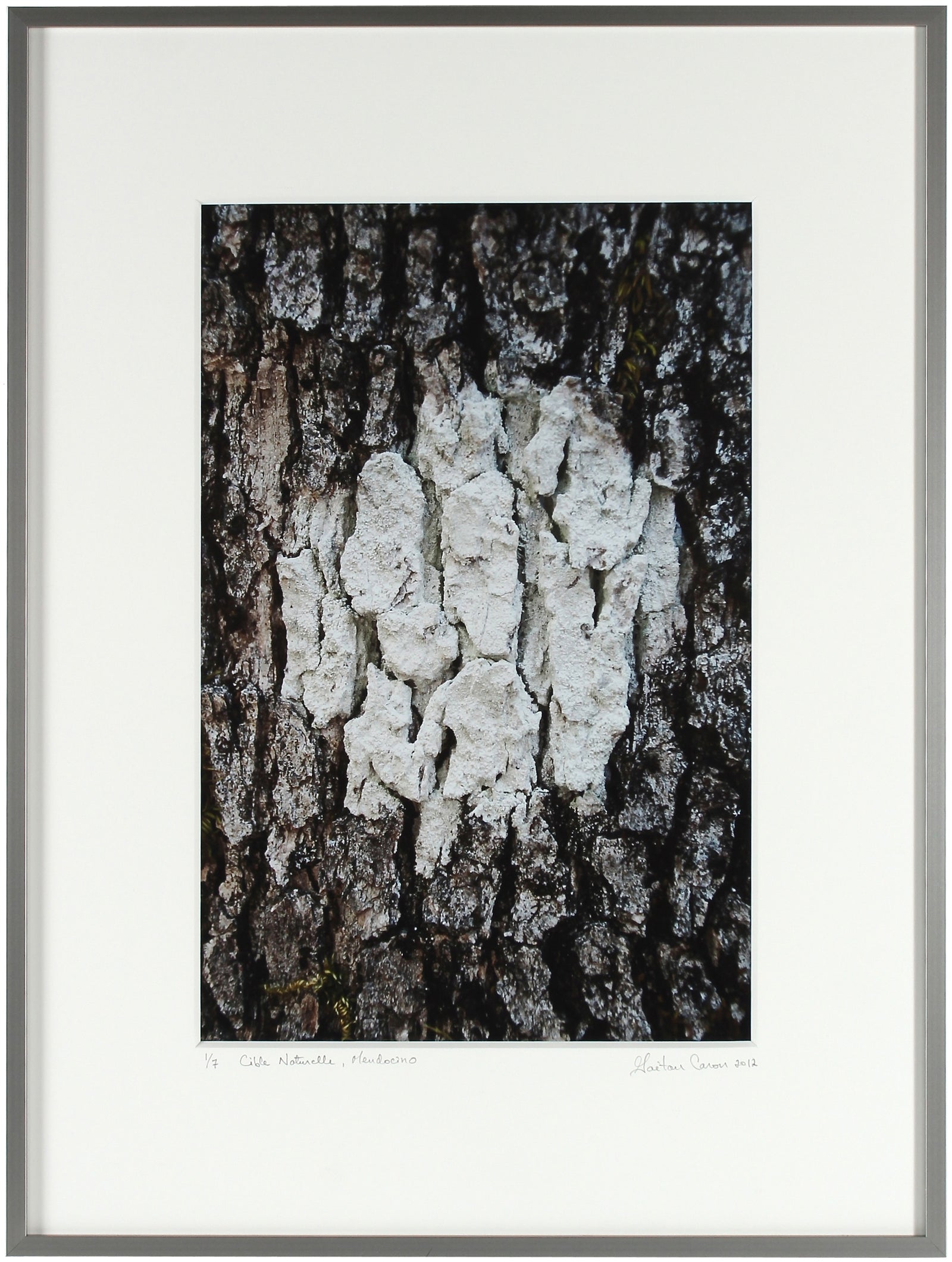 <I>Cible Naturelle (Organic Objective)</I><br>Mendocino, California, 2012<br><br>GC0287