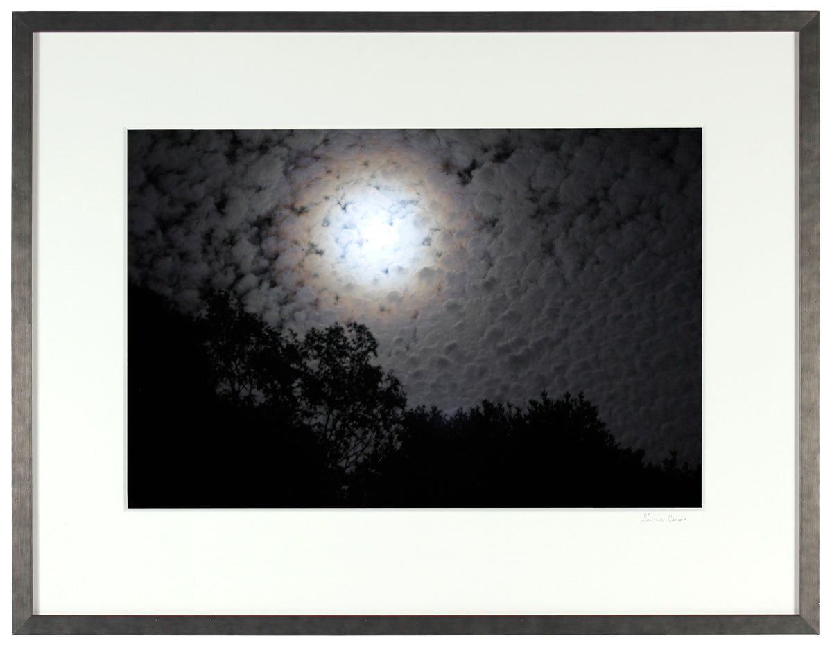 <I>Clair de lune (Moonlight)</I><br>Mendocino, California, 2012<br><br>GC0290