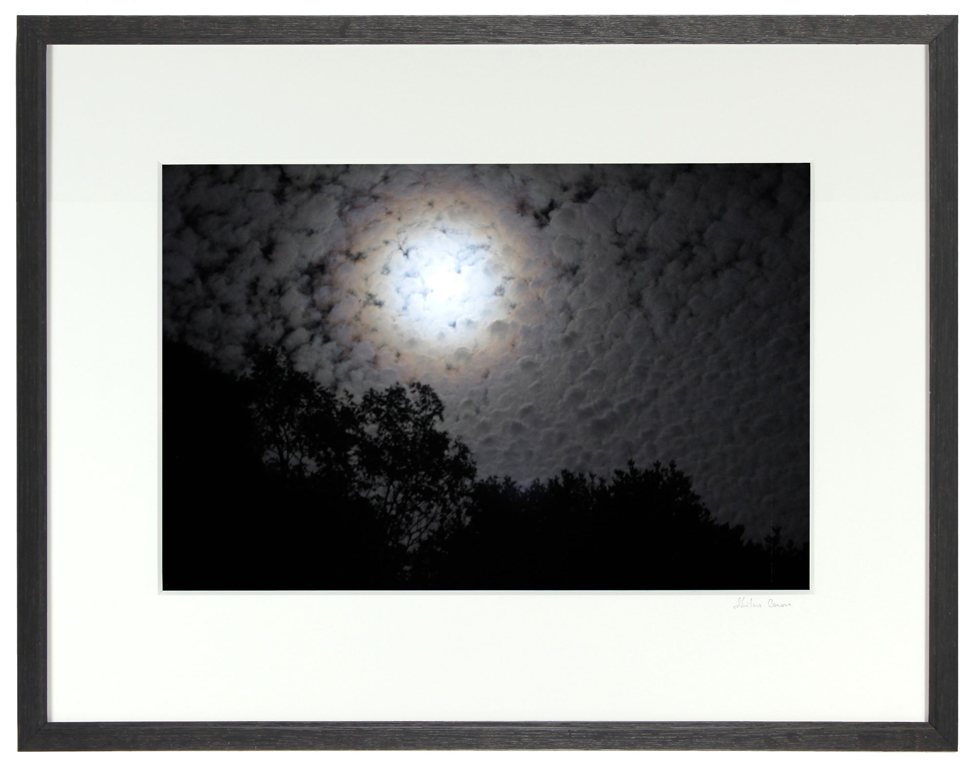 <I>Clair de lune (Moonlight)</I><br>Mendocino, California, 2012<br><br>GC0290