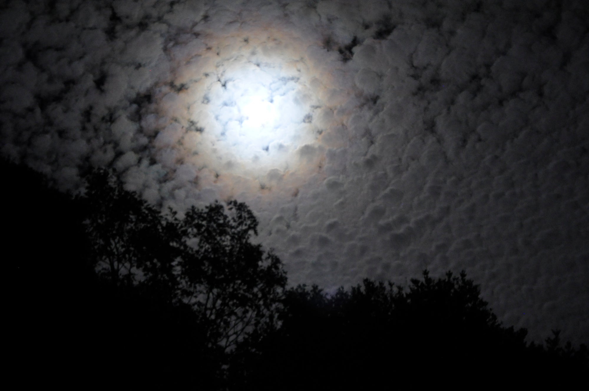 <I>Clair de lune (Moonlight)</I><br>Mendocino, California, 2012<br><br>GC0290