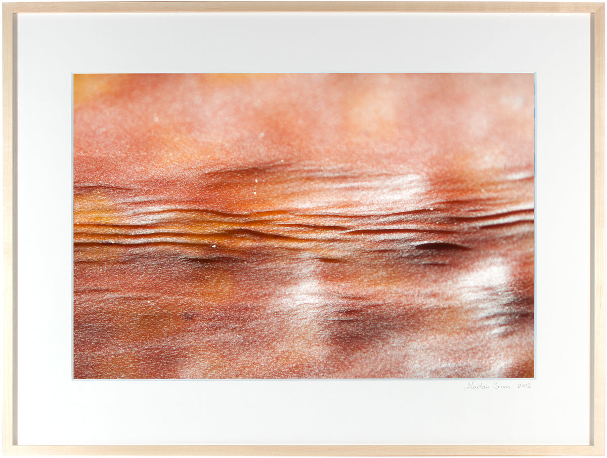 <I>Impression: soleil couchant (Impression: Sunset)</I><br>Mendocino, California, 2012<br><br>GC0295