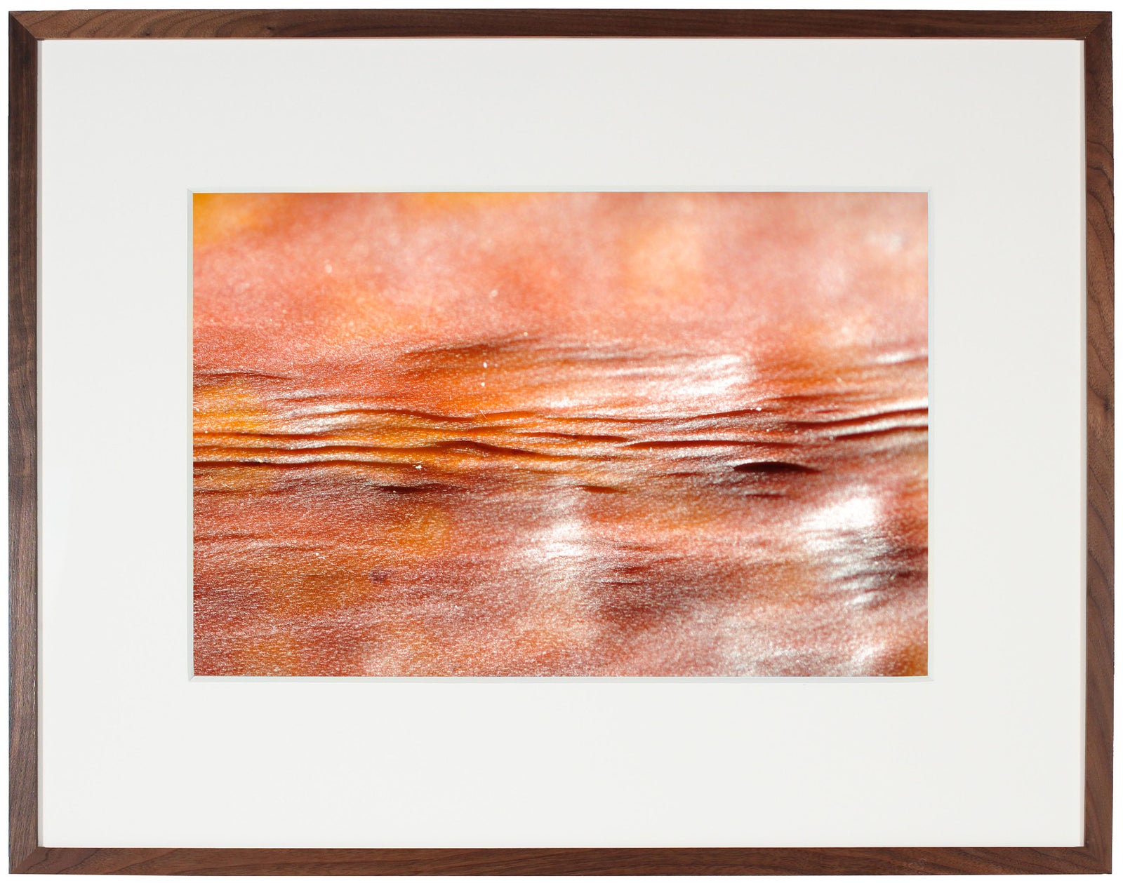 <I>Impression: soleil couchant (Impression: Sunset)</I><br>Mendocino, California, 2012<br><br>GC0295