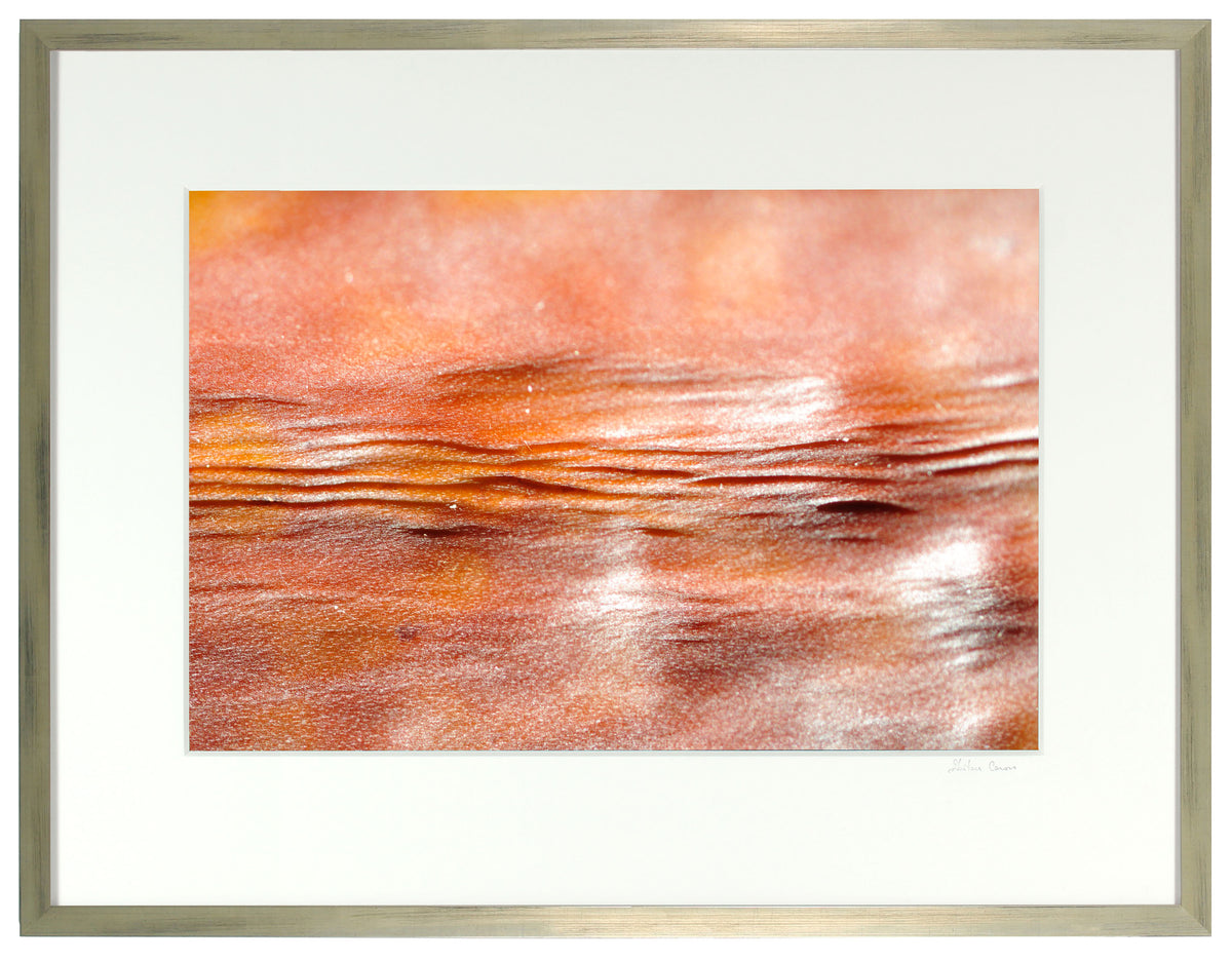 <I>Impression: soleil couchant (Impression: Sunset)</I><br>Mendocino, California, 2012<br><br>GC0295