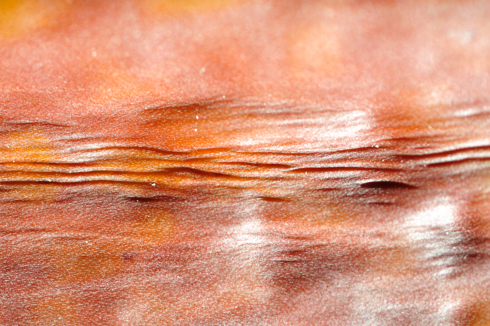 <I>Impression: soleil couchant (Impression: Sunset)</I><br>Mendocino, California, 2012<br><br>GC0295