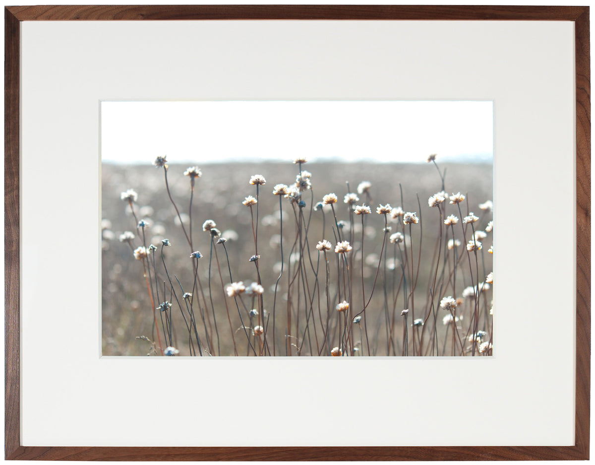 <I>Gracious Cleone</I><br>Mendocino, California, 2013<br><br>GC0346