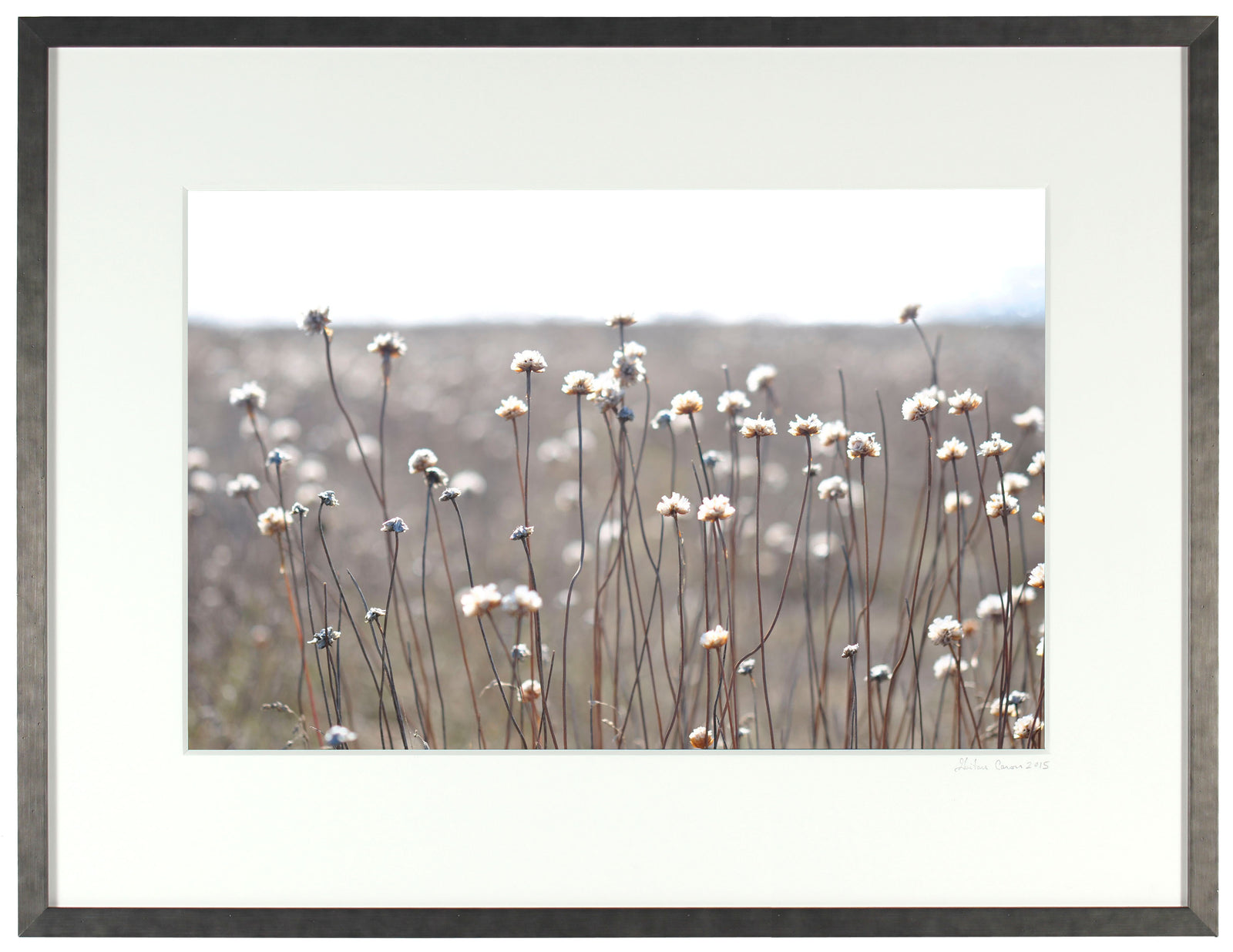 <I>Gracious Cleone</I><br>Mendocino, California, 2013<br><br>GC0346