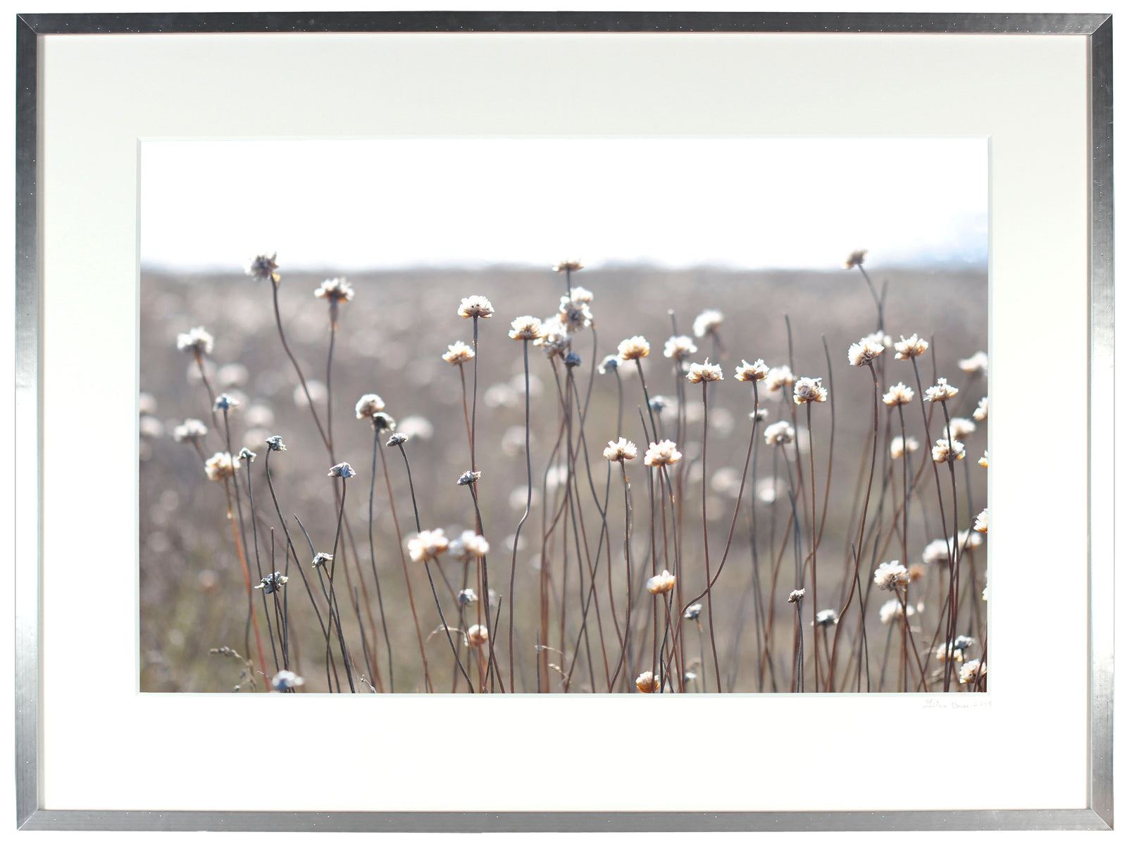 <I>Gracious Cleone</I><br>Mendocino, California, 2013<br><br>GC0346