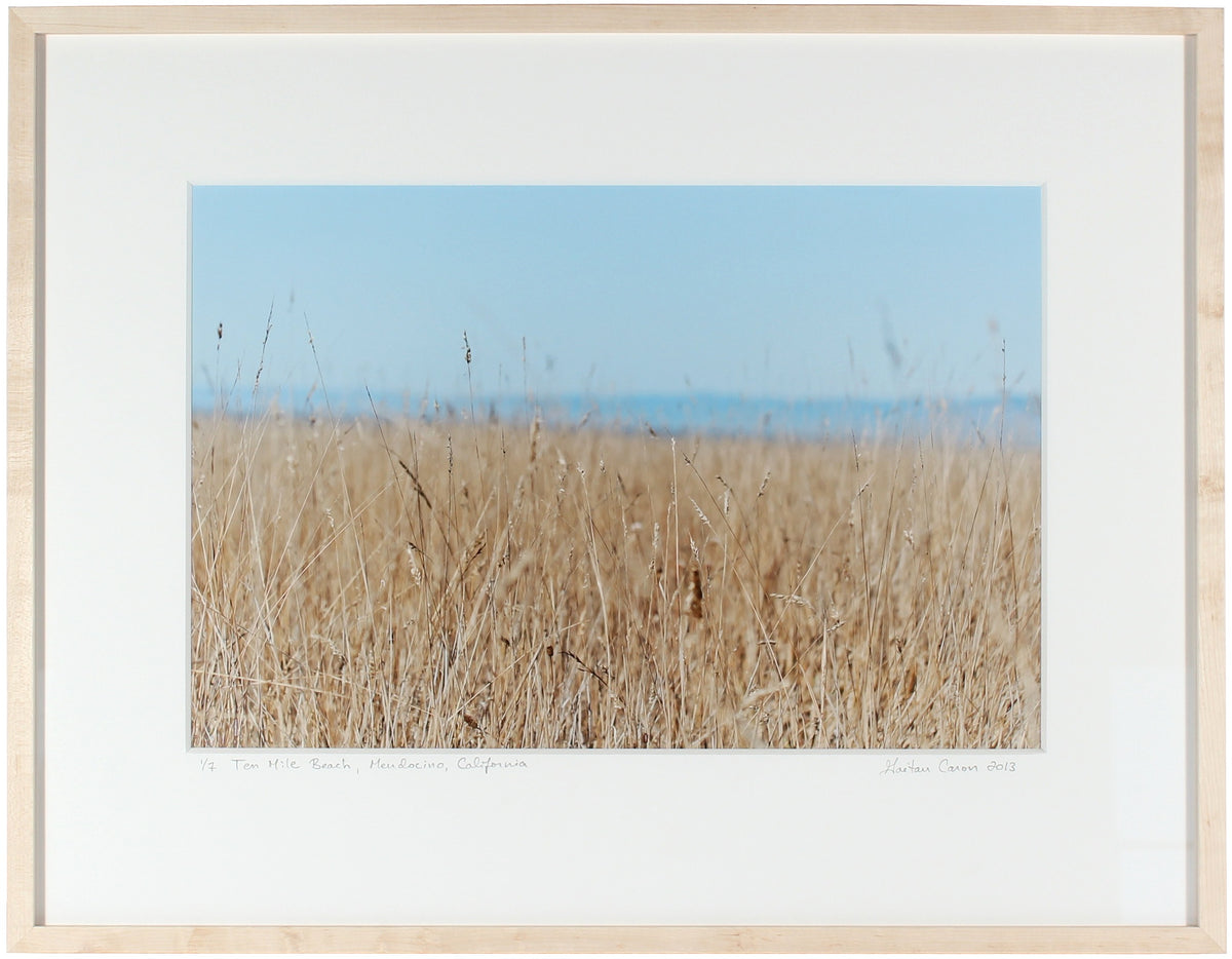 <I>Ten Mile Beach</I><br>Mendocino, California, 2013<br><br>GC0348