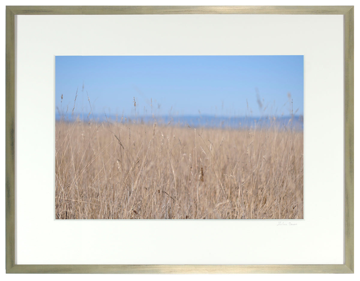 <I>Ten Mile Beach</I><br>Mendocino, California, 2013<br><br>GC0348