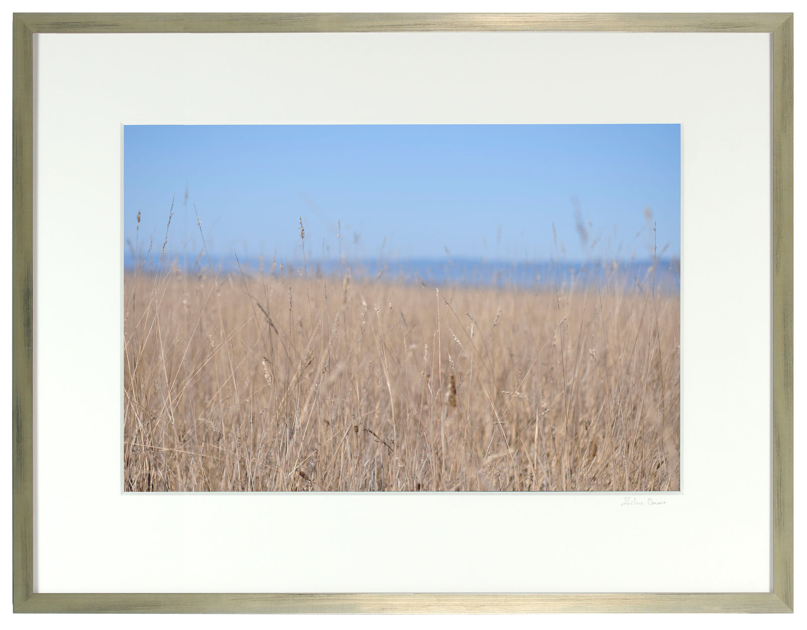 <I>Ten Mile Beach</I><br>Mendocino, California, 2013<br><br>GC0348